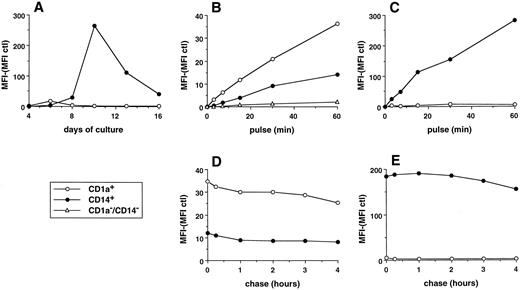 Fig. 4. Parameters of FITC dextran accumulation in day-6 CD1a-DC precursors and day-11 CD14-derived DCs. (A) MFI of histograms shown in Fig 3. The background fluorescence (cells pulsed at 4°C) was subtracted. (B and C) Cells were pulsed with 0.1 mg/mL FITC dextran at 37°C for various times, washed with cold medium, and analyzed on a FACScan. Uptake of FITC dextran was performed at day 6 on total population by double color fluorescence using, after pulse with FITC dextran, anti-CD1a–PE (CD1a+ cells), anti-CD14–PE (CD14+ cells), and anti-CD1a–PE plus anti-CD14–PE (CD14−CD1a− cells; B). Uptake of FITC dextran was performed at day 11 by single color fluorescence on the sorted populations (C). (D and E) Cells were pulsed with 0.1 mg/mL FITC dextran for 15 minutes at 37°C, washed with cold medium, and analyzed immediately or after culture at 37°C for various times in marker-free medium. Chase was performed at day 6 on total populations by double color fluorescence (D). Chase was performed at day 11 by single color fluorescence on the sorted populations (E). Results of each panel are representative of three experiments or more.