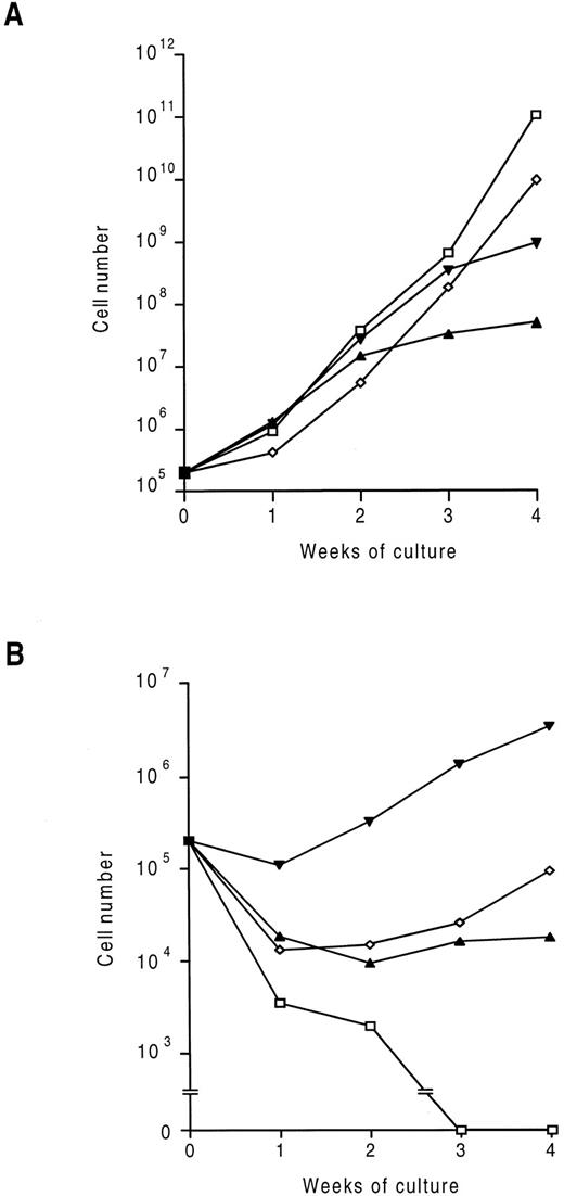 Fig. 1. Time-course of proliferation of infected fetal liver cells in liquid culture. Cells were infected with RufNeo retroviral constructs containing the indicated hβc subunits as described in the Materials and Methods. Cells were then washed and 2 × 105 cells were cultured with (A) and without (B) 500 U/mL mIL-3 and mGM-CSF and 2 U/mL hEpo. Cell counts were performed at weekly intervals. (□) hβc; (▴) FIΔ; (▾) V449E; (⋄) I374N.