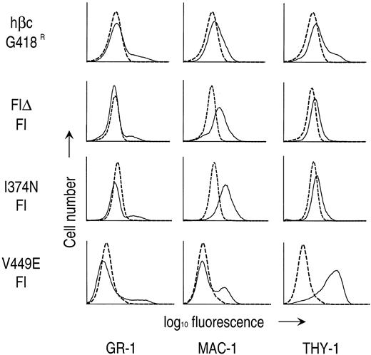 Fig. 5. Expression of lineage-specific cell surface antigens on G418-resistant (G418R) and factor-independent (FI) fetal liver cells. Flow cytometric analyses were performed as described in the Materials and Methods. Dashed lines represent staining with an irrelevant isotype control antibody. Solid lines represent staining with MoAbs directed to the indicated cell surface markers.