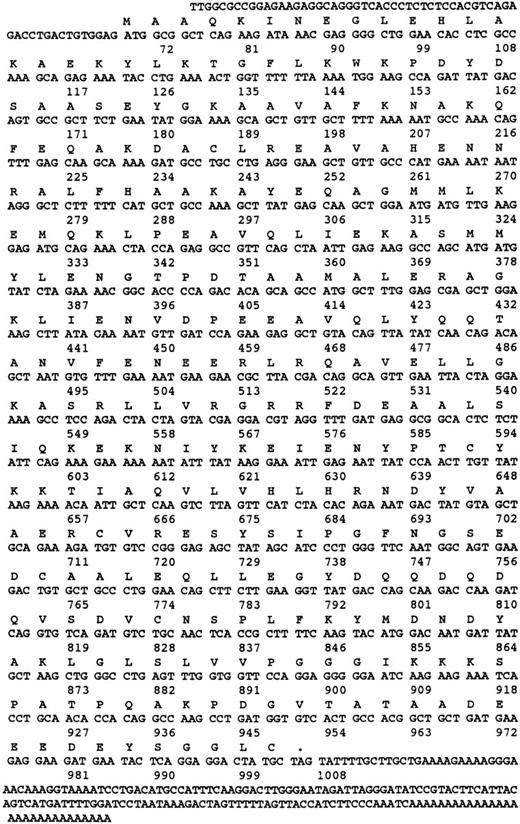 Fig. 3. Nucleotide and amino acid sequence of γ-SNAP. The amino acid and nucleotide sequence of human γ-SNAP cDNA isolated from a human platelet-derived cDNA library and from the melanocyte EST (N39674) are presented. Both nucleotide sequences were identical. Numbers correspond to the number of nucleotides.