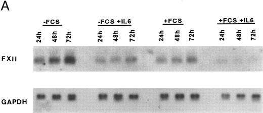 Fig. 3. Downregulation of FXII mRNA in HepG2 cells by rIL-6. HepG2 cells (1 × 105 cells/cm2 in 25-cm2 flasks) were incubated for the indicated times with or without rIL-6 (5 ng/mL) in the presence or absence of 10% (vol/vol) FCS. RNA was extracted and analyzed by Northern blot as indicated in the Materials and Methods. The filters were hybridized with 32P-human FXII cDNA, cleaned, and rehybridized with 32P-human GAPDH cDNA. (A) Time course of the FXII mRNA decrease after rIL-6 addition in the presence or in the absence of FCS; the autoradiograms of a representative Northern blot experiment are shown. (B) Quantitative analysis of the inhibitory effect of rIL-6 on FXII mRNA concentration in HepG2 cells. The intensity of the bands corresponding to FXII mRNA and to GAPDH mRNA, used as an internal control, was derived from direct radioactivity measurement on filters by Phosphoimager Analyser (Canberra Packard). Data are expressed as the FXII/GAPDH ratio and represent the mean ± SEM of two experiments.