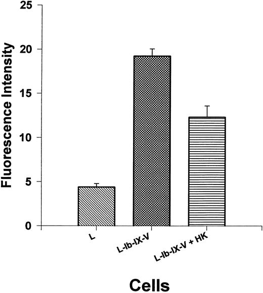 Fig. 7. Thrombin binding to GP Ib-IX-V expressed on leukemic mouse fibroblasts cells is inhibited by HK. Mouse fibroblast cell line transfected with GP Ib-IX-V complex was tested for the ability to bind thrombin with or without added HK. The first bar shows biotinylated thrombin (590 nmol/L) binding to untransfected cells. Thrombin binding to cells transfected with and expressing GP Ib-IX-V complex in the absence (bar 2) or presence (bar 3) of 1.3 μmol/L HK is shown. The results are the mean ± SEM of 10 determinations. The binding to L cells and the effect of HK addition to L-Ib-IX-V cells are statistically different from the binding to L-Ib-IX-V cells alone (P < .0001).
