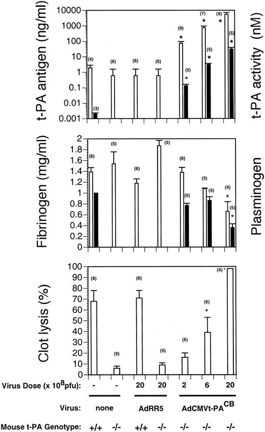 Fig. 2. Circulating t-PA, plasminogen, and fibrinogen levels and clot lysis in virus-injected mice. Measurements were performed 4 days after virus injection with the indicated dose of AdRR 5 or AdCMVt-PACB. Values are expressed as mean ± SEM of the indicated number of mice in parentheses. (Top panel) t-PA antigen and activity levels as a function of virus dose. Human t-PA antigen levels (open bars) in plasma of saline- and AdRR5-injected mice were not significantly different from background (<0.6 ng/mL). For reference purposes, t-PA antigen levels in t-PA+/+ mice are ∼2 ng/mL. t-PA activity levels are shown by the solid bars. (Middle panel) Fibrinogen and plasminogen levels as a function of virus dose in AdRR5 and AdCMVt-PACB-injected t-PA−/− mice. *, P < .005 v AdRR5-injected mice. Fibrinogen levels are shown by open bars and plasminogen levels (expressed as the fraction of plasminogen present in pooled plasma of untreated mice) are shown as solid bars. (Bottom panel) Lysis of emboli in uninfected or virus-infected t-PA−/− mice. Three days after infection of mice with the indicated dose (pfu) of control AdRR5 or AdCMVt-PACB virus, a clot was injected, and the residual radioactivity measured after 16 hours. *, P = .01 v saline- and AdRR5-injected t-PA−/− mice.