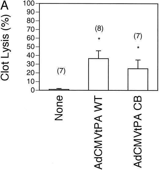 Fig. 3. Comparison of pulmonary plasma clot lysis in mice injected with wild type versus inhibitor-resistant t-PA-expressing adenoviruses. Clot lysis experiments were performed 4 days after gene transfer. The residual radioactivity in clots was measured after 4 hours of lysis. Values represent mean ± SEM of the indicated number of mice in parentheses. *P < .05 v lysis in uninjected mice (none) of the same genotype. (A) Clot lysis in t-PA−/− mice. (B) Wild type (shaded bars) and PAI-1–overexpressing transgenic mice (solid bars) were injected intravenously with 5 × 108 pfu recombinant viruses AdCMVt-PAWT and AdCMVt-PACB.
