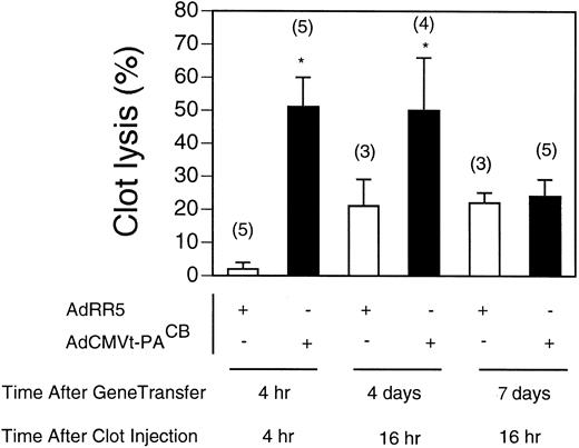 Fig. 4. Time course and onset of clot lysis. Lysis of 125I-fibrin–labeled pulmonary clots in t-PA−/− mice over the course of 4 or 16 hours. Clot injection was performed at the indicated time or day after injection with either 2 × 109 pfu AdRR5 (open bars) or AdCMVt-PACB virus (solid bars). Clot lysis after 4 hours was measured after coinjection of the plasma clot and virus; clot lysis 4 and 7 days after virus delivery was determined by measuring the extent of lysis 16 hours after injection of the clot. Values are expressed as percent of total radioactivity injected and represent mean ± SEM of the indicated number of mice in parentheses. *P < .05 v lysis in AdRR5 infected mice.