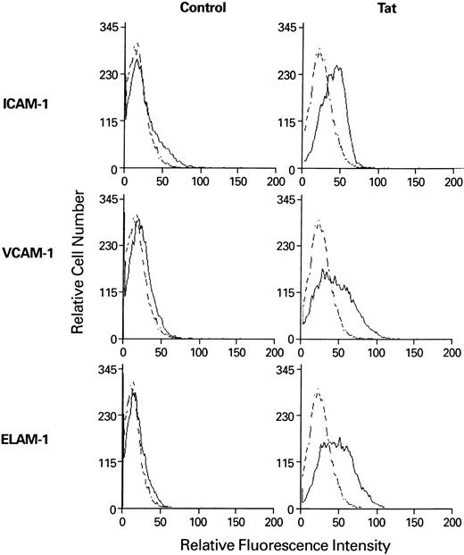 Fig. 1. Indirect immunofluorescence flow cytometry of untreated and HIV-Tat–treated EC. EC were treated with HIV-Tat (100 ng/mL) or treatment buffer alone for 6 hours at 37°C. The cells were then detached by a brief exposure to trypsin/EDTA, stained using monoclonal antibody to various adhesion molecules, and examined for the expression of ICAM-1, VCAM-1, and ELAM-1 by flow cytometry. The histogram shown by a broken line in all of the panels represents fluorescence profile of EC stained with isotype-matched IgG; the histogram shown by a solid line in all of the panels represents the fluorescence profiles of EC stained for various adhesion molecules.