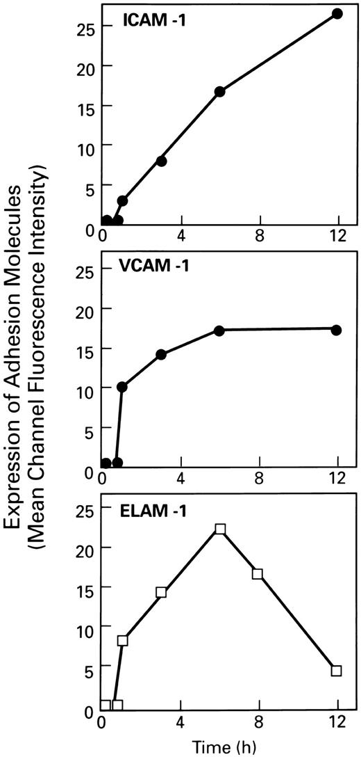 Fig. 3. Kinetics of HIV-Tat–induced expression of adhesion molecules on EC. EC monolayers were treated with 100 ng/mL HIV-Tat for different times at 37°C. The cells were harvested at indicated times, fixed in 2% paraformaldehyde, and washed with cold PBS. Cells were then resuspended in FACS binding buffer, and the expression of adhesion molecules was determined by flow cytometry as described in the Materials and Methods.