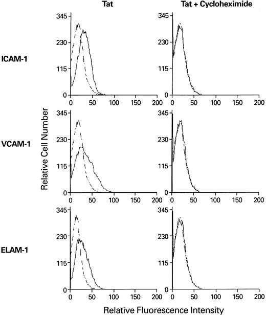 Fig. 4. Effect of cycloheximide treatment on HIV-Tat–induced adhesion molecules on EC. EC monolayers were incubated with HIV-Tat at a concentration of 100 ng/mL in the presence or absence of cycloheximide (10 μg/mL) at 37°C for 6 hours. At the end of incubation, cells were harvested, fixed in 2% paraformaldehyde, and washed with cold PBS. The cells were then resuspended in FACS binding buffer, and the expression of adhesion molecules was determined by flow cytometry as described in the Materials and Methods.