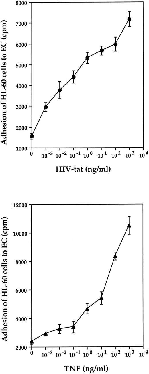 Fig. 6. Effect of HIV-tat (upper panel) and TNF (lower panel) on the adhesion of HL-60 cells to enodthelial cells. HL-60 cells were labeled with tritiated thymidine for 16 hours at 37°C. Labeled cells were washed, resuspended, and incubated (for 1 hour at 37°C) with EC monolayers pretreated with different concentrations of either TNF or HIV-tat for 6 hours at 37°C. Nonadherent cells were aspirated, and the monolayers were washed three times with HBSS, pH 7.4. The numbers of adherent cells were determined by solubilizing the cells and counting in a β scintillation counter. All determinations were made in triplicate.
