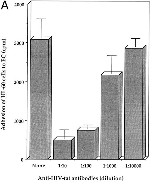 Fig. 7. (A) Neutralization of HIV-tat activity by treatment with antibodies against HIV-tat. HIV-tat protein (100 ng/mL) was incubated with different dilution of the antibody for 1 hour at room temperature before its treatment with EC. The adhesion of EC to HL-60 was tested as described in Fig 6. All determinations were made in triplicate. (B) Potentiation of HIV-tat–induced adhesion of HL-60 cells to EC by TNF. EC were incubated with either HIV-tat (1 ng/mL) or TNF (100 ng/mL) or combination for 6 hours at 37°C and then examined for adhesion to HL-60 cells as described in Fig 6. All determinations were made in triplicate.
