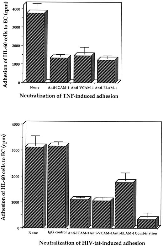 Fig. 8. Neutralization of TNF-induced (upper panel) and HIV-tat–induced (lower panel) adhesion of HL-60 cells to EC by antibodies against the adhesion proteins. EC were incubated with either HIV-tat (100 ng/mL) or TNF (100 ng/mL) for 6 hours at 37°C, washed, treated with the indicated antibodies (1:200 dilution) for 1 hour at room temperature, and then examined for adhesion to HL-60 cells as described in Fig 6. All determinations were made in triplicate.