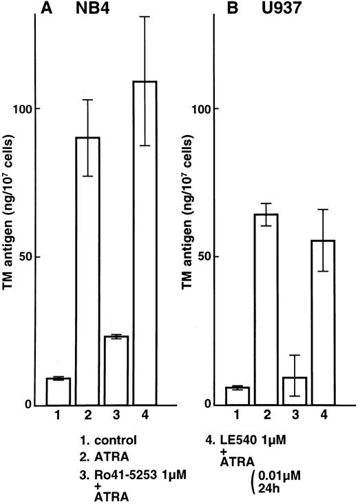 Fig. 2. Selective counteractive effect of RARα antagonist on TM upregulation by ATRA in NB4 (A) and U937 (B) cells. NB4 and U937 cells were incubated with ATRA (0.01 μmol/L) for 24 hours (lane 2). These cells were also preincubated with 1 μmol/L Ro41-5253 (lane 3) or LE540 (lane 4) for 1 hour. Lane 1 shows control without treatment.