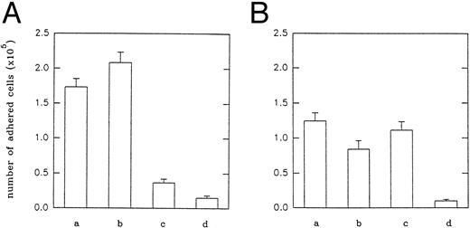Fig. 4. Adhesion of A5 (A) and VNRC3 (B) cells to immobilized echistatin and its analogues. Five micrograms per sample of echistatin (a), 5 μg per sample of D27W echistatin (b), 4 μg per sample of echistatin 1-41 (c), and 5 μg per sample of R24A echistatin (d) were immobilized overnight at 4°C on a 96-well plate (Costar) in carbonate/bicarbonate buffer, pH 9.2. After blocking, the CMFDA-labeled cells were added to each well and incubated as described in the Materials and Methods. Adhesion of CHO-K1 cells was negligible and at the level of nonspecific adhesion of transfected cells to bovine serum albumin. Error bars represent the standard deviations from three independent experiments.