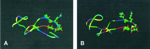 Fig. 9. Structures of echistatin (A) and echistatin 1-41 (B). Residues backbones are color-coded as follows: green, hydrophobic; blue, positively charged; red, negatively charged; yellow, containing sulfur; pink/pale blue, hydrophilic; white, tryptophane; magenta, asparagine/glutamine; cyan, glycine/proline. The side chains of the amino acids at the RAR6DD are shown as ball-and-stick models.