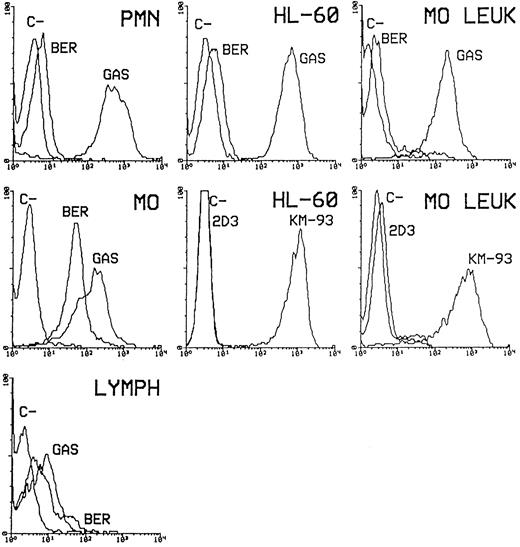 Fig. 1. Binding of biotinylated (Bio) CAGAS (GAS) to normal leukocytes, HL-60 cell line, and monocytic leukemia cells (MO. LEUK), which was analyzed in parallel with the binding of unconjugated anti-sLex (KM-93 and CSLEX-1) and anti-sLea (2D3 and 19.9) mouse MoAbs and biotinylated anti-i IgMk CABER (BER). The binding of CSLEX-1 to myeloid cells (PMN, MO, HL-60, and MO.LEUK) was nearly identical to that shown for Bio-GAS and KM-93. Whereas the binding of MoAb KM-93 to lymphocytes (LYMPH) was similar to that shown for BIo-GAS, CSLEX-1 MoAb bound only a few (≤9%) of these cells. Data with normal leukocytes are from 1 representaive experiment of 30 performed with cells from different healthy donors. For each donor, PMN and PBMC were obtained, and Mo and lymphocytes present in PBMCs were gated on the basis of forward and side scatter parameters. MO contained ≤0.1% of CD3+ cells and CD19+ cells, and lymphocytes contained ≤1% of CD14+ cells. Bound antibodies were detected by means of SA-PE and FITC-conjugated goat antibodies to mouse Igs. Negative controls (C−) for CAs and for mouse Igs were, respectively, biotinylated (Bio) polyclonal human IgM (MPoly) and unreactive isotype-matched mouse MoAbs. X-axis, Log fluorescence intensity; Y-axis, relative number of cells.