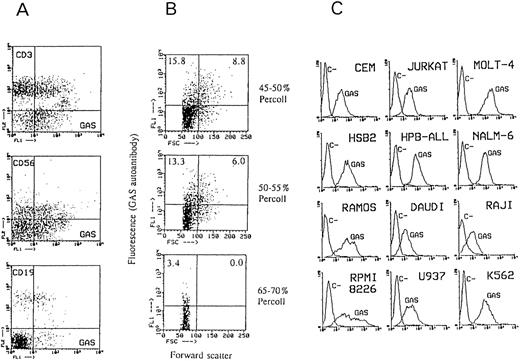 Fig. 2. Binding of Bio-GAS (A) to normal blood lymphocyte subsets, (B) to purified tonsil B cells of different size obtained at different Percoll gradients, and (C) to leukocyte cell lines. In (A), two-color immunofluorescence with Bio-GAS/SA-FITC and PE-conjugated CD3, CD56, and CD19 MoAbs was performed; lymphocytes were gated from PBMCs on the basis of forward and side scatter parameters and they contained no detectable CD14+ cells. In (B), the forward scatter dot marker was established arbitrarily. These purified tonsil B cells mostly expressed (≥90%) CD19 and (70% to 85%) i antigen as detected by CABER,101113 whereas they contained ≤4% of CD3+ cells and no detectable CD56+ cells and CD14+ cells. In (C), the immunofluorescence technique was as described in Fig 1.