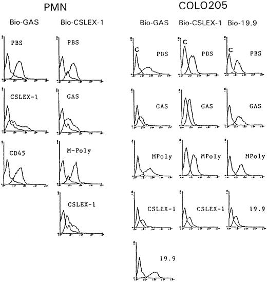 Fig. 4. Cross-blocking experiments between CAGAS and mouse MoAb CSLEX-1 (anti-sLex) for their binding to PMN leukocytes (PMN) and between CAGAS and mouse MoAbs CSLEX-1 and 19.9 (anti-sLa) for their binding to COLO205 cells (COLO205). Histograms show the binding of a subsaturating dose of biotinylated (Bio) antibody (indicated at the top of histograms) in the presence of PBS or an excess of unconjugated antibody (indicated within each histogram). For control purposes, mouse MoAb CD45 (138-3) of IgM isotype-like CSLEX-1 was also included as inhibitor. The binding of antibodies was detected by means of SA-PE. Negative control fluorescence curves are the most proximal to the Y-axis and were Bio-MPoly for Bio-GAS and biotinylated isotype-matched unreactive mouse for Bio-CSLEX-1 and Bio-19.9.