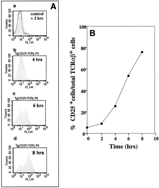 Fig. 1. Demonstration of specific antigenic peptide TCR-triggered CD25 upregulation on cytochromec peptide TCR transgenic mouse T lymphocytes. B10A TCR-transgenic mouse splenocytes were incubated at 5 × 106 cells/mL with 1 μmol/L of cytochrome c peptide for 2, 4, 6, and 8 hours. The cells were then labeled with (1) FITC antimouse CD25, (2) PE antimouse TCRαβ, and (3) PI. CD25 expression on the TCR+ cells was evaluated by flow cytometry by gating for PI− (live) and PE-antimouse TCRαβ+ cells. (A) Flow cytometry profiles of CD25-expressing TCRαβ+ cells. The shaded histograms show changes in CD25 expression after 2 (graph a), 4 (graph b), 6 (graph c), and 8 (graph d) hours of stimulation. The solid histogram (control) in graph a represents the CD25 level on T cells from a sample that was not incubated with antigenic peptide. (B) Time-dependent changes in percentages of CD25+ cells among TCRαβ+ cells was calculated from data in (A).