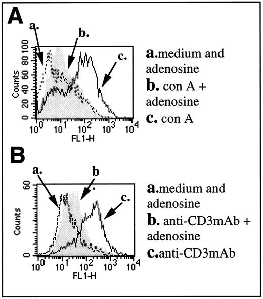 Fig. 3. Extracellular adenosine inhibits TCR-triggered CD25 upregulation on mitogen or anti-TCR/CD3 complex MoAb-activated T lymphocytes from normal DBA-2 mice. (A and B) Expression of CD25 on T lymphocyte from DBA-2 mouse splenocytes stimulated with con A (A) or with plate-bound antimouse CD3ε (B) for 8 hours. Expression of CD25 in the presence of adenosine alone is indicated by an arrow (a). Expression of CD25 in the presence of con A or anti-CD3 MoAb alone is indicated by an arrow (c). Expression of con A- or anti-CD3 MoAb-induced CD25 in the presence of adenosine is indicated by an arrow (b).