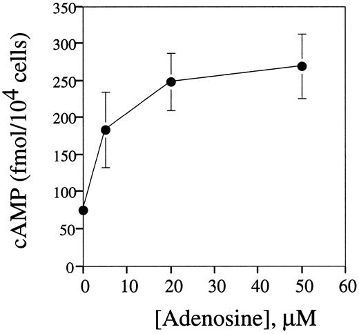 Fig. 6. Extracellular adenosine triggers cAMP accumulation in mouse splenocytes. DBA-2 mouse splenocytes at 5 × 106 cells/mL were preincubated on ice for 10 minutes with IBMX (50 μmol/L) and then distributed into wells of a 48-well plate and incubated (in 200 μL per well) with different concentrations of adenosine at 37°C for 60 minutes. The cAMP levels in cell extracts were estimated by enzyme-linked immunoassay as described in the Materials and Methods.