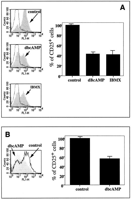 Fig. 7. Increases in intracellular levels of cAMP mimic inhibitory effects of extracellular adenosine on CD25 expression. (A) Effect of 50 μmol/L dBcAMP and 50 μmol/L IBMX on CD25 level on TCR transgenic lymphocytes stimulated with 1 μmol/L cytochrome c for 8 hours. The experiment was performed as described in the legend to Fig 2. The histogram represents estimation of the effects of dBcAMP and IBMX on TCR-triggered CD25 upregulation among TCRαβ+ cells. (B) Effect of 50 μmol/L dBcAMP on CD25 level on 4 μg/mL con A-stimulated splenocytes. DBA-2 splenocytes were stimulated with con A for 8 hours and the percentage of CD25+ cells in the T subset was shown in the plots. The histogram represents estimation of effects of dBcAMP on con A-triggered CD25 upregulation among TCRαβ+ cells.