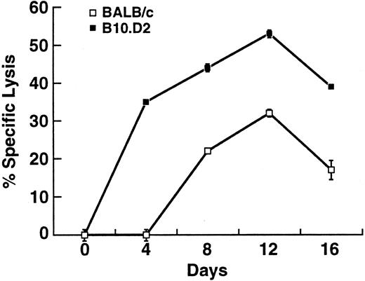 Fig. 3. Development of specific cytolytic activity against BCL1 in BALB/c and B10.D2. Specific cytolytic activity against BCL1 was measured by the JAM test.10 Peak specific lysis was obtained from an effector:target ratio of 40:1. Values are taken from a representative experiment from three separate experiments and represent the mean ± SD of triplicate measurements.