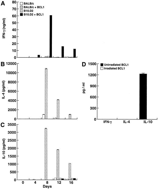 Fig. 4. Cytokine secretion in response to coculture with BCL1. (A) IFN-γ, (B) IL-4, (C) IL-10, and (D) cytokines secreted by irradiated and nonirradiated BCL1. Values are taken from a representative experiment from three separate experiments and represent the mean ± SD of triplicate measurements.