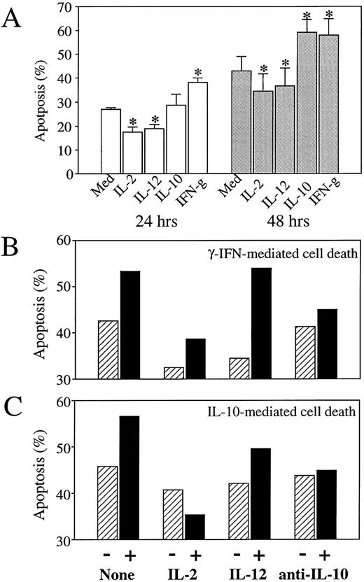 Fig. 4. Effect of IL-2, IL-12, and anti–IL-10 antibodies on IFN-γ and IL-10–mediated monocyte apoptosis. Monocytes (4 × 105 cells/mL) were cultured (in the absence of poly–L-lysine) in the absence or presence of various cytokines or anti–IL-10 neutralizing antibodies; percentages of apoptotic cells were assessed by flow cytofluorimetry analysis using the acridine orange nuclear dye. (A) Monocytes were cultured for 24 hours or 48 hours, as mentioned, in the presence of medium alone or of IL-2 (200 IU/mL), IL-12 (400 ng/mL), IL-10 (400 ng/mL), anti–IFN-γ (10,000 IU/mL). Histograms represent mean ± SD of three independent experiments. *P < .03. (B) Monocytes were cultured for 48 hours in the presence of medium alone (▨) or IFN-γ (10,000 IU/mL; ▪) in the absence (−) or presence (+) of IL-2 (200 IU/mL), IL-12 (400 ng/mL), or neutralizing antibodies to IL-10 (10 μg/mL). Results are from one representative experiment out of two. (C) Monocytes were cultured for 48 hours in the presence of medium alone (▨) or IL-10 (400 ng/mL) (▪) in the absence (−) or presence (+) of IL-2 (200 IU/mL), IL-12 (400 ng/mL), or neutralizing antibodies to IL-10 (10 μg/mL). Results are from one representative experiment out of two.