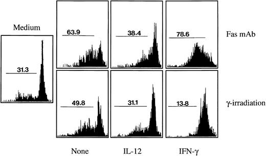 Fig. 6. Effect of Th1 cytokines on monocyte apoptosis induced by Fas crosslinking or by γ-irradiation. Monocytes (4 × 105 cells/mL) were cultured for 24 hours (in the absence of poly–L-lysine) either in the absence of any stimuli (medium), in the presence of an agonistic antibody to Fas (2 μg/mL), or after γ-irradiation (10 Gy). Addition of the Fas MoAb or γ-irradiation was performed either on monocytes incubated with medium alone (None) or on monocytes that had been preincubated for 1 hour with IL-12 (400 ng/mL) or with IFN-γ (100 IU/mL). Percentages of apoptotic cells were assessed by cytofluorimetry analysis using the nuclear dye acridine orange. These results are representative of three independent experiments, except for the effect of IFN-γ on Fas MoAb-induced apoptosis, which was found to vary (either enhancing or reducing apoptosis) in five different experiments (see Results and Discussion section).