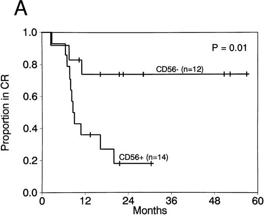 Fig. 2. CR duration (A) and survival (B) for patients with AML with t(8; 21) with and without CD56 expression.