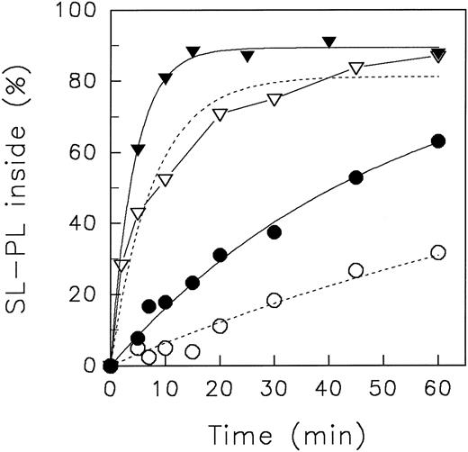 Fig. 1. Redistribution of spin-labeled phospholipid analogues SL-PE and SL-PS in human red blood cells at neutral (7.4) and acidic (5.8) pH, respectively, of the suspension medium at 37°C. Erythrocytes were incubated for 5 minutes at 37°C with (in the case of SL-PS) or without DFP. After incorporation of spin-labeled phospholipids, the redistribution kinetics were monitored by the back-exchange of analogues on the outer leaflet to BSA (see the Materials and Methods). SL-PE: pH 5.8 (○), pH 7.4 (•). SL-PS: pH 5.8 (▿), pH 7.4 (▾). Curves were fitted by nonlinear regression to a monoexponential function (see the Materials and Methods). In the case of SL-PS redistribution at acidic pH, measured values were connected by straight lines (see Results).