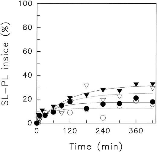 Fig. 4. Redistribution of spin-labeled phospholipid analogues SL-PE and SL-PS in ATP-depleted human red blood cells at neutral and acidic pH, 7.4 and 5.8, respectively, of the suspension medium at 4°C. ATP depletion was performed by incubation of red blood cells in the presence of iodoacetamide. After incorporation of spin-labeled phospholipids, the redistribution kinetics were monitored by the back-exchange of analogues on the outer leaflet to BSA. SL-PE: pH 5.8 (○), pH 7.4 (•). SL-PS: pH 5.8 (▿), pH 7.4 (▾). For details, see the Materials and Methods. Curves were fitted by nonlinear regression to a monoexponential function.