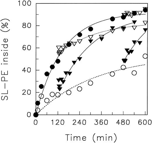 Fig. 5. Redistribution of the spin-labeled phospholipid analogue SL-PE in human red blood cells at various pH of the suspension medium at 4°C. In part of the experiments, the pH of suspension medium was changed during the translocation measurements. After incorporation of spin-labeled phospholipids, the redistribution kinetics were monitored by the back-exchange of analogues on the outer leaflet to BSA (see the Materials and Methods). pH 5.8 (○), pH 7.4 (•), pH 7.4 → pH 5.8 (▿) at 120 minutes, pH 5.8 → pH 7.4 (▾) at 120 minutes, pH 7.4 → pH 5.8 (▿) at 480 minutes, and pH 5.8 → pH 7.4 (▾) at 480 minutes. Curves were fitted by nonlinear regression to a monoexponential function.