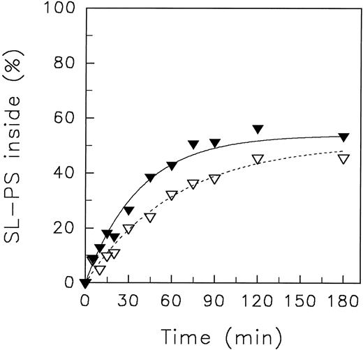 Fig. 7. Redistribution of the spin-labeled phospholipid analogue SL-PS in resealed erythrocyte ghosts at neutral and acidic pH of the suspension medium at 4°C. Resealed ghosts were prepared by hypotonic lysis as described by Schwoch and Passow.40 After incorporation of SL-PS, the redistribution kinetics were monitored by the back-exchange of analogues on the outer leaflet to BSA (see the Materials and Methods). pH 5.8 (▿), pH 7.4 (▾). Curves were fitted by nonlinear regression to a monoexponential function.