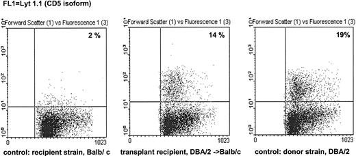 Fig. 3. Example for analysis of long-term chimerism. Spleen cells of surviving animals from the experiment described in Figs 1 and 2 were collected 100 days after transfer of 1 × 109 DBA PBPC/kg BW in Balb/c mice. The mononuclear cells were prepared by density gradient centrifugation and stained with MoAb anti-Lyt 1.1. Lyt 1.1 is an isoform of murine CD5 found in DBA but not in Balb/c mice. Untreated Balb/c and DBA mice served as negative and positive controls, respectively. The transplant recipients showed the same percentage of Lyt 1.1+ splenocytes as DBA mice, demonstrating long-term chimerism of T cells after transplantation.