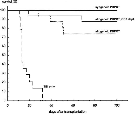Fig. 4. Survival of nonleukemic Balb/c mice after TBI only (n = 12), transfer of 1 × 109 syngeneic PBPCs/kg BW (n = 10), and transfer of the same dose of unmanipulated allogeneic PBPC (n = 16) or CD3-depleted allogeneic PBPCs (n = 16). T-cell depletion was performed by immunomagnetic removal of these cells by anti-CD3–coated magnetic beads, resulting in less than 1% CD3+ cells as shown by flow cytometry.