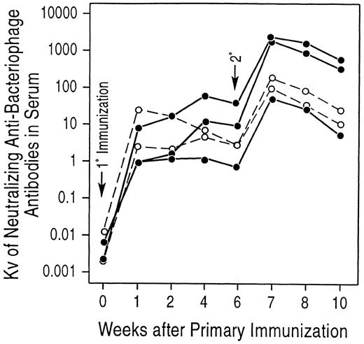 Fig. 4. Stable hematopoietic chimeras immunized with bacteriophage φX174 have primary and secondary antibody responses with Ig class switching similar to that of control animals. At the time of 1° immunization, animals A89164, A89163, and A91382 were 1,324, 1,212, and 835 days posttranplantation, respectively. (•) Experimental animals; (○) control animals.