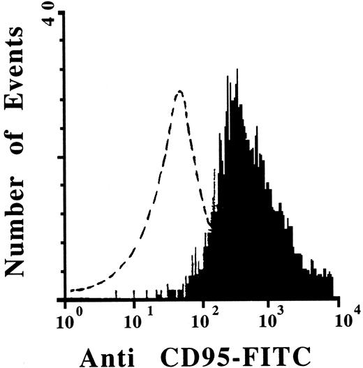 Fig. 1. Fas (CD95) expression on EBV+ LCLs generated from human EBV+ B-cell tumors of hu-PBL-SCID mice. The solid peak represents staining with the FITC-conjugated anti-Fas MoAb, while the dashed line represents staining with an FITC-conjugated nonreactive isotype control MoAb. Eighteen LCLs generated from 18 individual human EBV+ B-cell tumors from hu-PBL-SCID mice demonstrated virtually identical reactivity for Fas expression as that shown here. The COLO 205 cell line lacks Fas expression and was used as a negative control and the Jurkat T-cell line was used as a positive control (not shown).44