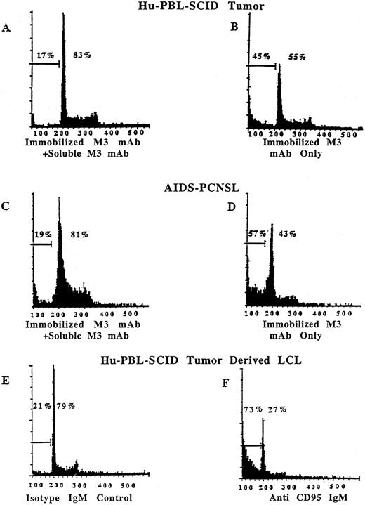 Fig. 4. Human EBV+ B-cell tumors from hu-PBL-SCID mice and from patients with AIDS-PCNSL are susceptible to Fas-induced apoptosis. Quantitative assessment of apoptosis was obtained by staining cell nuclei with PI and analyzing 5,000 events by flow cytometry.30 Tumor cells plated in the presence of 10 μg/mL of immobilized anti-Fas M3 MoAb and a fivefold excess of soluble M3 have only 17% of nuclei within the hypodiploid portion of the histogram, indicative of apoptosis (A). Tumor cells plated in the presence of 10 μg/mL of immobilized anti-Fas M3 MoAb alone have 45% of nuclei within the apoptotic portion of the histogram (B). Similar results were obtained with tumor cells from a fresh AIDS-PCNSL biopsy specimen in that only 19% of nuclei were within the hypodiploid portion after exposure to 10 μg/mL of immobilized M3 MoAb with an excess of soluble M3 (C), while 57% were within the apoptotic portion after exposure to 10 μg/mL of immobilized M3 MoAb alone (D). Similar results were obtained when LCLs derived from hu-PBL-SCID B-cell tumors were plated in the presence of 5 μg/mL of the mobilized anti-Fas IgM CH11 MoAb. Twenty-one percent of the cells were in the apoptotic fraction after exposure to an IgM isotype control MoAb (E), while 73% of cells were within the apoptotic fraction after exposure to mobilized anti-Fas IgM CH11 MoAb (F).