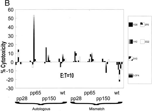 Fig. 1. (A) Initial reactivity of polyclonal CD8+ T cells to HCMV nucleoproteins. After two rounds of stimulation on HCMV-infected autologous fibroblasts, PBMCs were depleted of CD4+ T cells. The population of PBMCs before depletion was tested in a CRA for recognition against autologous (diamonds) or mismatched (squares) EBVLCL targets infected with vaccinia viruses for 16 hours expressing the HCMV proteins written above each panel. Methods for conducting the experiments can be found in Materials and Methods. Spontaneous lysis did not exceed 30% for any of the vaccinia cell lines tested. Ten thousand targets were assayed for each condition at the E:T indicated. (B) Recognition of HCMV nucleoproteins by clonal CD8+ CTL. CD4+ depleted PBMCs were cloned in 96-well plates as described in Materials and Methods. Wells were restimulated every 14 days. Colonies visible to the eye were expanded in successively larger wells, and aliquots of cells were tested against the recombinant vaccinia viruses containing HCMV proteins pp28, pp65, and pp150.11 Conditions for the CRA can be found in Materials and Methods and the legend for (a). Six representative CD8+ T-cell clones, 1G6, 3F6, 1H2, 3G2, 2H3, and 3-3F4, were tested at two different E:Ts against autologous and mismatched EBVLCL targets infected with the vaccinia viruses indicated at the bottom of the figure. Data from the E:T = 10 series are shown. / (C) Specific recognition of HCMV-infected fibroblasts by CD8+ CTL clone 3-3F4. Autologous (▨) and mismatched () fibroblasts were treated with IFN-γ for 2 days before infection with the AD169 strain of HCMV as described in Materials and Methods. Mock-infected fibroblasts were treated with medium alone. Two thousand fibroblasts were incubated with 3-3F4 T cells at an E:T of 10 in a standard 4-hour CRA. (D) MHC restriction of the 3-3F4 T-cell clone response to HCMV pp65. EBVLCL targets from individuals HLA-typed at the COH were infected with vaccinia viruses with (pp65Vac) or without (wtVac) recombinant HCMV pp65, or mock-infected. A standard CRA was performed using 10,000 targets at an E:T of 10. Cell lines expressing single allele matches from the autologous EBVLCL (A2 A28 B51 B60) were tested for recognition by the T-cell clone 3-3F4, as well as a completely matched (autologous) and mismatched EBVLCL targets. / (E) T-cell clone 3-3F4 recognizes HCMV pp65 with HLA A*0201. EBVLCL JY (▨) or Jurkat cells transfected with the HLA A*0201 genomic DNA clone (), or the untransfected parental Jurkat cells (▥) were tested for recognition by T-cell clone 3-3F4 in a standard CRA using 10,000 targets at an E:T of 10.