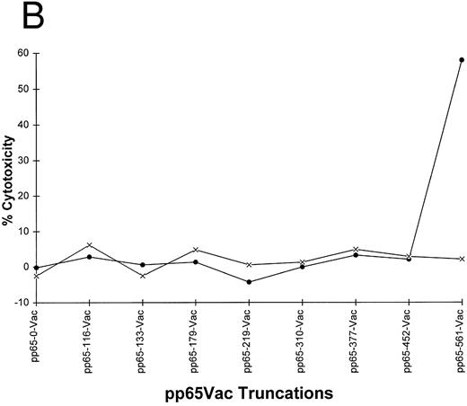 Fig. 2. (A) Carboxyl terminal truncations of pp65 localize CTL epitope to a single region. Restriction fragments of pp65 were subcloned into pSC11MCS, and vaccinia viruses were made by techniques discussed in Materials and Methods. The size of the insert in “AA” is indicated by the length of the bars. (B) Identification of boundaries for location of CTL epitope. Either HLA A2 matched (•) or mismatched (×) EBVLCL targets were infected with the series of vaccinia viruses shown in (A). A standard CRA was performed using 10,000 targets at an E:T of 10.