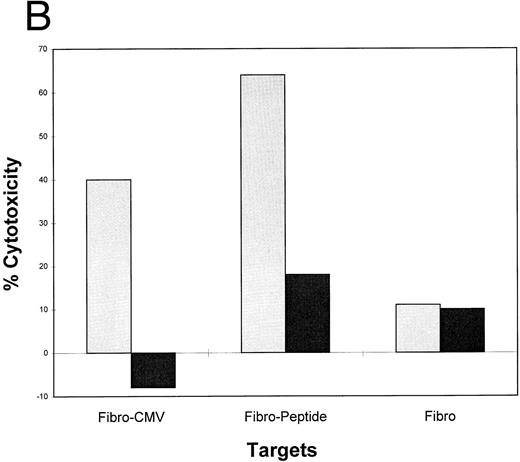Fig. 4. (A) PBMCs from a seropositive donor are inducible to become HCMV-specific cytotoxic effectors using peptide-loaded fibroblasts. Autologous fibroblasts were incubated with 10 μmol/L pp65495-503 , and fresh PBMCs were added to the well for a 7-day stimulation repeated three times as described in Materials and Methods. Two days before harvest of the PBMCs, autologous fibroblasts were treated with IFN-γ, and infected with HCMV strain AD169. Additional IFN-γ–treated fibroblasts were incubated with peptide or medium, and a CRA was conducted at the indicated time points using 2,000 targets in each case. To verify that the target fibroblasts could function as APC, at each time point they were evaluated against the T-cell clone 3-3F4 (data not shown). The CRAs were conducted at each time point using PBMCs that had been depleted of CD4+ T cells. (), Day 0; (▪), second stimulation; (), third stimulation. (B) PBMCs from a seropositive donor are inducible to become HCMV-specific cytotoxic effectors using peptide-loaded PHA-blasts. Fresh PBMCs were incubated with peptide-loaded PHA-blasts for two rounds of stimulation. The effectors were incubated with CMV-infected or peptide-sensitized fibroblasts as described in (A). Both autologous and completely HLA mismatched fibroblast targets were used in CRAs with the peptide-stimulated PBMCs. (), Matched; (▪), mismatched.