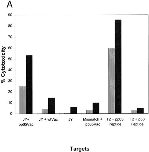 Fig. 5. (A) HLA A2.1 transgenic mice recognize pp65495-503 and develop CTL that lyse EBVLCL targets which express endogenously processed HCMV pp65. Mice were immunized once with pp65495-503 as described in the text and Materials and Methods. After five in vitro stimulations, the CTL were tested against uninfected JY cells, or infected with pp65 (pp65Vac) or wt (wtVac) vaccinia viruses. A non-HLA A2.1 EBVLCL was included as a control. The specificity of the CTL for pp65495-503 peptide was shown in an assay using peptide-loaded T2 cells using either the pp65 or a p53 HLA A2 epitope. A standard CRA was performed using 5,000 targets at an E:T of 2 (▥) and 20 (▪). (B) HCMV-infected fibroblasts are lysed by immunized splenic effectors. MRC-5 which expresses HLA A*0201 and non-HLA A*0201 fibroblasts were infected for 16 hours with HCMV strain AD169. The infected and noninfected fibroblasts were chromated, and 2,000 were used as targets for each point in a standard CRA using peptide-stimulated murine splenic effectors as in (A). Simultaneously, the recognition of peptide-loaded and nonloaded T2 cells was evaluated using the same effector population. (▥), E:T = 2; (▪), E:T = 20.