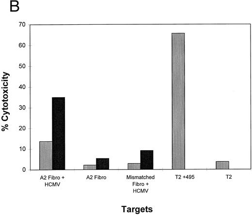 Fig. 5. (A) HLA A2.1 transgenic mice recognize pp65495-503 and develop CTL that lyse EBVLCL targets which express endogenously processed HCMV pp65. Mice were immunized once with pp65495-503 as described in the text and Materials and Methods. After five in vitro stimulations, the CTL were tested against uninfected JY cells, or infected with pp65 (pp65Vac) or wt (wtVac) vaccinia viruses. A non-HLA A2.1 EBVLCL was included as a control. The specificity of the CTL for pp65495-503 peptide was shown in an assay using peptide-loaded T2 cells using either the pp65 or a p53 HLA A2 epitope. A standard CRA was performed using 5,000 targets at an E:T of 2 (▥) and 20 (▪). (B) HCMV-infected fibroblasts are lysed by immunized splenic effectors. MRC-5 which expresses HLA A*0201 and non-HLA A*0201 fibroblasts were infected for 16 hours with HCMV strain AD169. The infected and noninfected fibroblasts were chromated, and 2,000 were used as targets for each point in a standard CRA using peptide-stimulated murine splenic effectors as in (A). Simultaneously, the recognition of peptide-loaded and nonloaded T2 cells was evaluated using the same effector population. (▥), E:T = 2; (▪), E:T = 20.