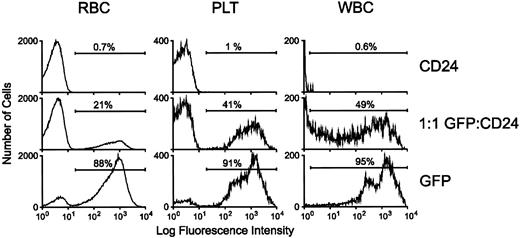 Fig. 7. Reconstitution of hematopoiesis with GFP-marked PB cells in lethally irradiated animals transplanted with GFP-transduced BM. Flow cytometric analysis of GFP expression in RBCs, platelets, and leukocytes was performed as described in Materials and Methods. For the white blood cell (WBC) panel, very high-level GFP fluorescence in expressing cells necessitated analysis using lower fluorescence amplification for all the WBC samples. The profiles of representative animals transplanted with marrow transduced with the control CD24 vector, the MGirL22Y vector, or an equal number of MGirL22Y- and CD24-transduced marrow cells 4 weeks posttransplantation are shown as indicated. The proportion of GFP-positive cells within each respective population is indicated.