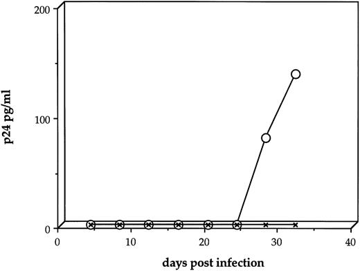 Fig. 3. Amplification of HIV-1 from viral-exposed human and murine stromal layers. Primary human stromal layers (○) or layers of the murine S17 stromal cell line (X's) were infected with HIV-1JR-FL at MOI = 1.0. On day 8 after infection, human monocytic cells were added to each culture to amplify low levels of HIV-1 present. Samples of the culture supernatants were then sampled daily and analyzed for p24 gag protein by ELISA.