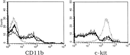 Fig. 6. Flow cytometric analysis of yolk sac colonies cultured for 13 days in methylcellulose media containing IL-3, IL-6, and stem cell factor (bold solid line +/+, thin solid line +/−, dotted line −/−). Expression of CD11b (granulocytes, macrophages) is seen in Mll +/+ and +/− colonies, while high-level expression of c-kit (hematopoietic progenitor cells) is seen in Mll −/− cultures. Identical results were obtained in two experiments.