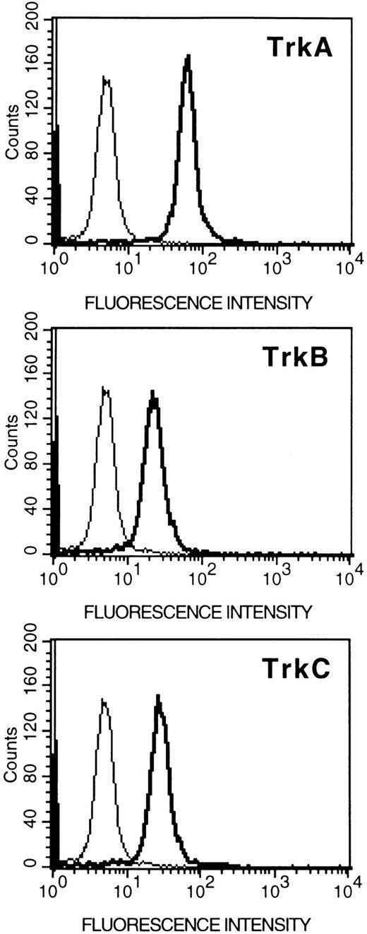 Fig. 3. Flow cytometric analysis (relative log fluorescence) of expression of Trk proteins in HMC-1 mast cells. HMC-1 cells were incubated with an anti-TrkA, anti-TrkB, or anti-TrkC antibody (as indicated in the figures), or with rabbit IgG (negative control, the thin line in the figures), and subsequently stained with fluorescein-conjugated goat antirabbit IgG and analyzed by flow cytometry. Data are representative of six separate experiments.