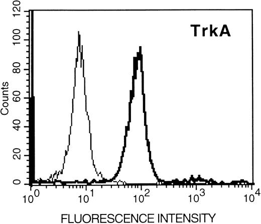 Fig. 8. Flow cytometric analysis (relative log fluorescence) of expression of TrkA protein in human umbilical cord blood-derived mast cells. Human umbilical cord blood-derived mast cells were incubated with an anti-TrkA and subsequently stained with fluorescein-conjugated goat antirabbit IgG and analyzed by flow cytometry. Data are representative of two experiments.