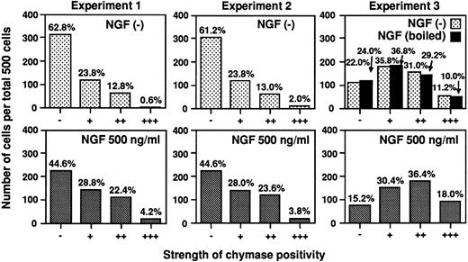 Fig. 9. Human umbilical cord blood-derived mast cells cultured with NGF exhibit increased expression of chymase. Human umbilical cord blood-derived mast cells were cultured in SCF, IL-6, and PGE2 for 19 or 20 weeks and were maintained for an additional 3 weeks in medium with or without NGF at 500 ng/mL (see text). Immunocytochemical analysis of the expression of chymase in these mast cells was performed as described in the Materials and Methods. The strength of chymase positivity was graded from negative (−) to strongly positive (+++) (as illustrated in Fig 10), and the distribution of mast cells exhibiting various intensities of chymase positivity in individual specimen was compared using the χ2 test. In each of the three independent experiments shown, the difference between the distribution of cells exhibiting various degrees of chymase positivity in cultures with or without exogenous NGF was significant (P < .0001, P = .0014, and P = .046 in Experiments 1, 2, and 3, respectively). In Experiment 3, we found that NGF which had been boiled (black bars in Experiment 3), when used at 500 ng/mL instead of native NGF in medium containing SCF and PGE2 , had no detectable effect on chymase immunoreactivity (P = .93 v values for cells cultured without NGF in medium containing SCF, IL-6 and PGE2 , P < .01 v values for cells cultured with native NGF ).